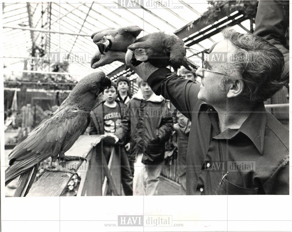 1981 Press Photo parrots chidren bridge - Historic Images