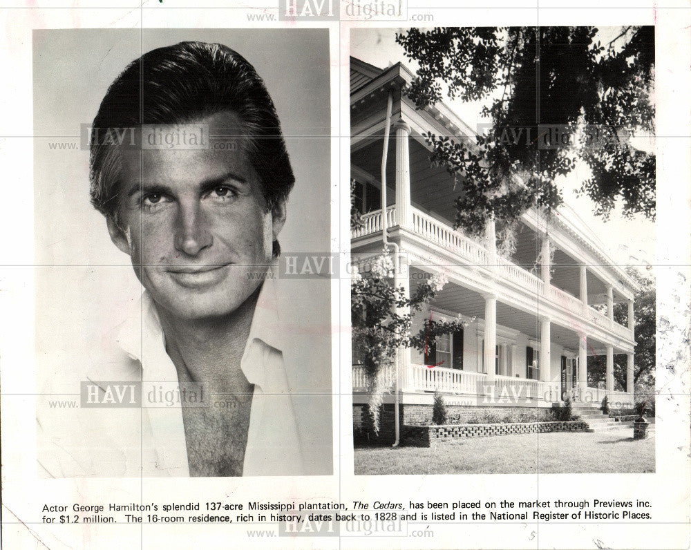 1981 Press Photo George Hamilton actor plantation - Historic Images