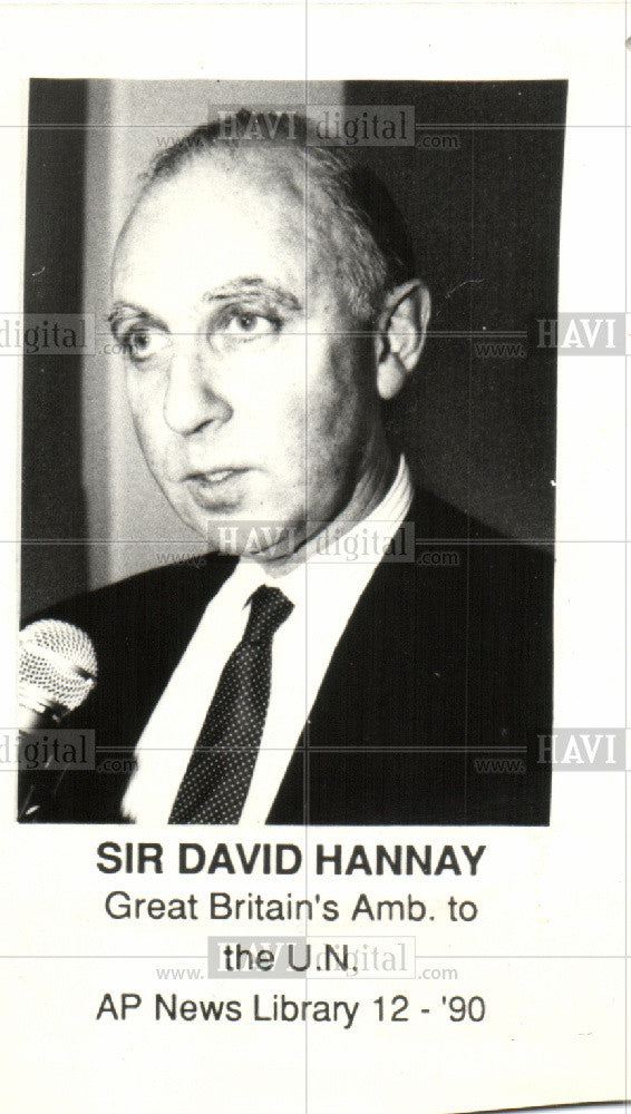 1991 Press Photo David Hannay Britain ambassador U.N. - Historic Images