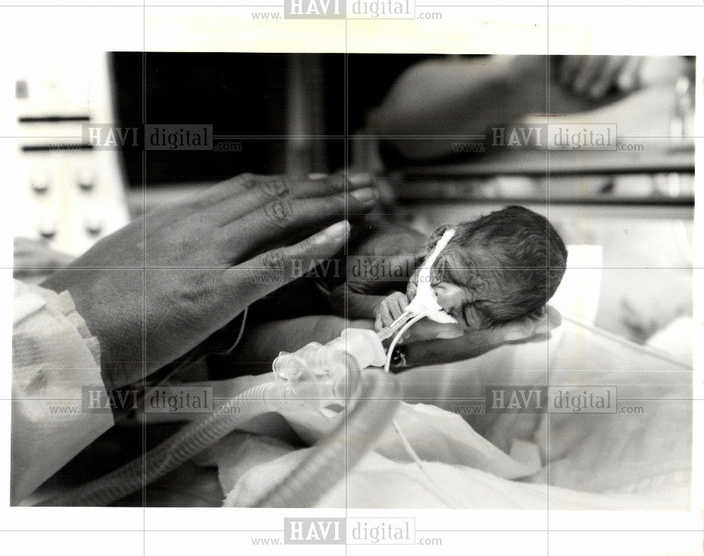 1992 Press Photo Dorindia Sheppard, Shannon - Historic Images