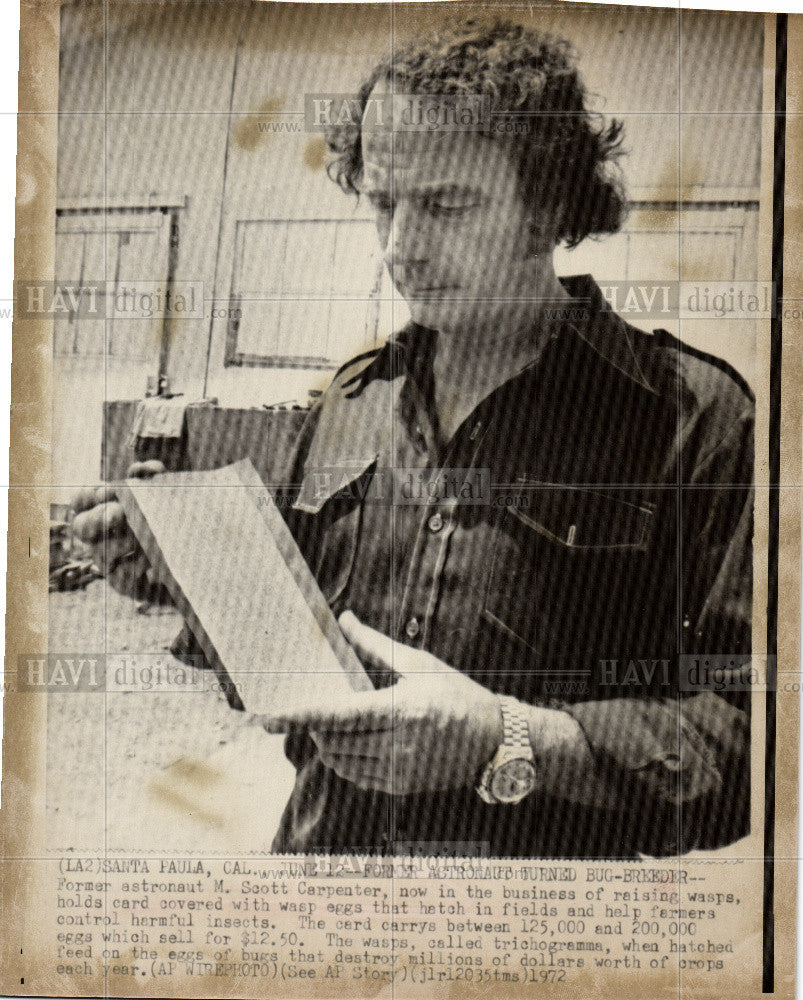 1972 Press Photo Scott Carpenter astronaut wasp farm - Historic Images