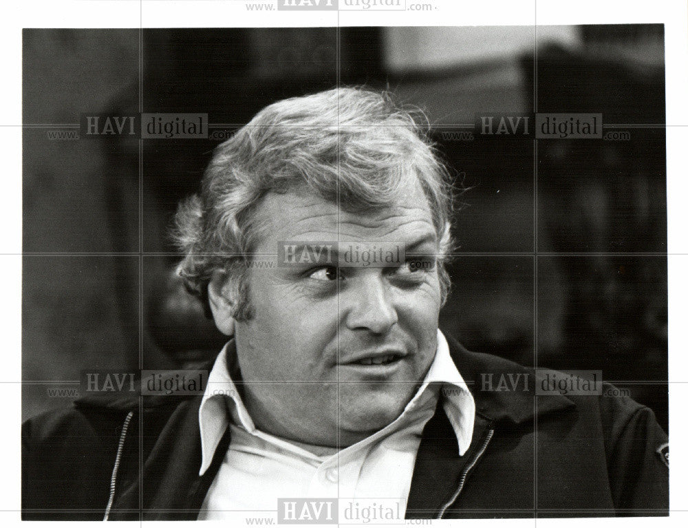 1982 Press Photo brian dennehy  actor - Historic Images