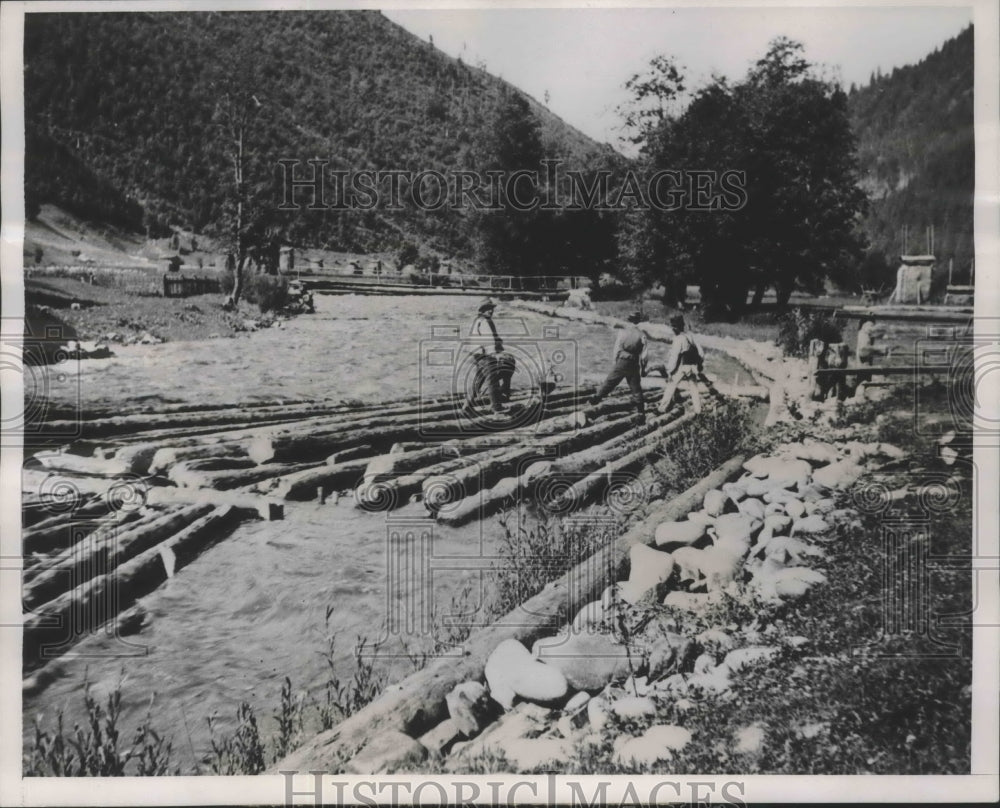 1939 Press Photo Tisza River Czechoslovakia Section Taken by Hungary Log Raft - Historic Images