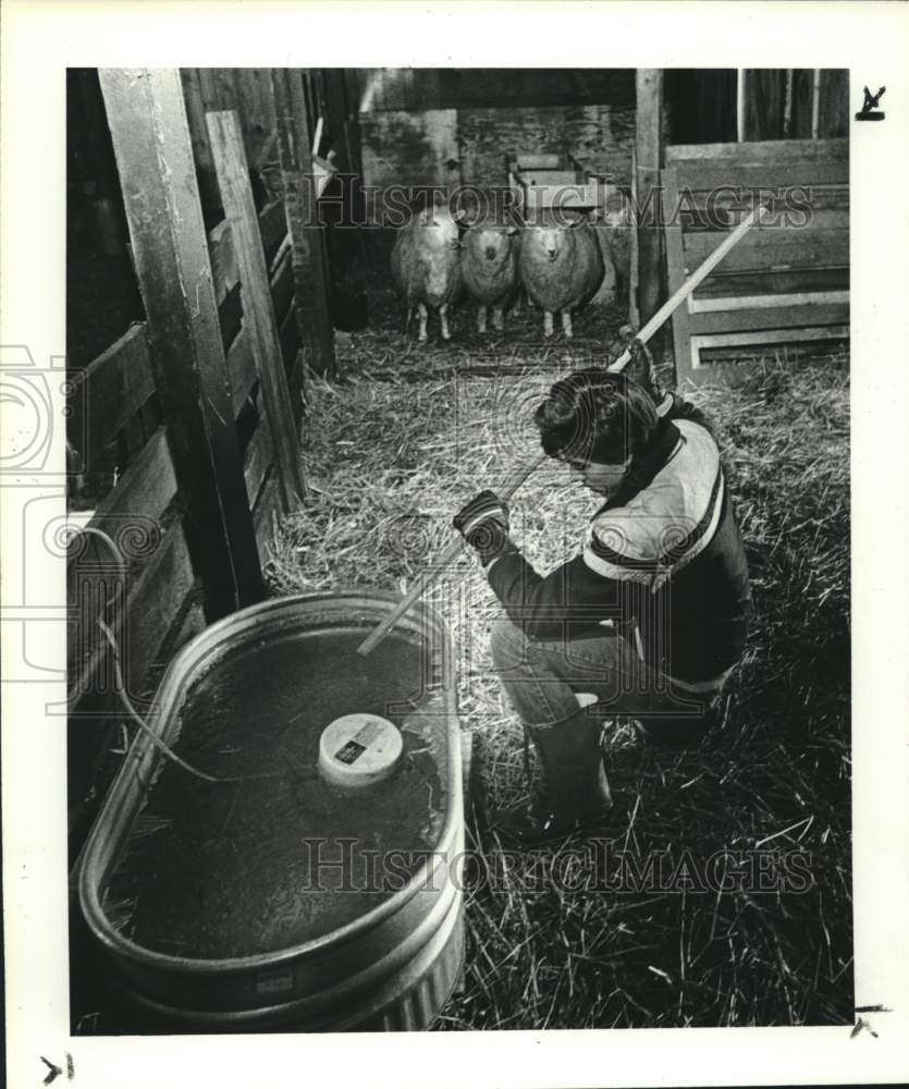 1985 Press Photo Matt Middleton cuts hole in ice for Sheep in Oakland County - Historic Images