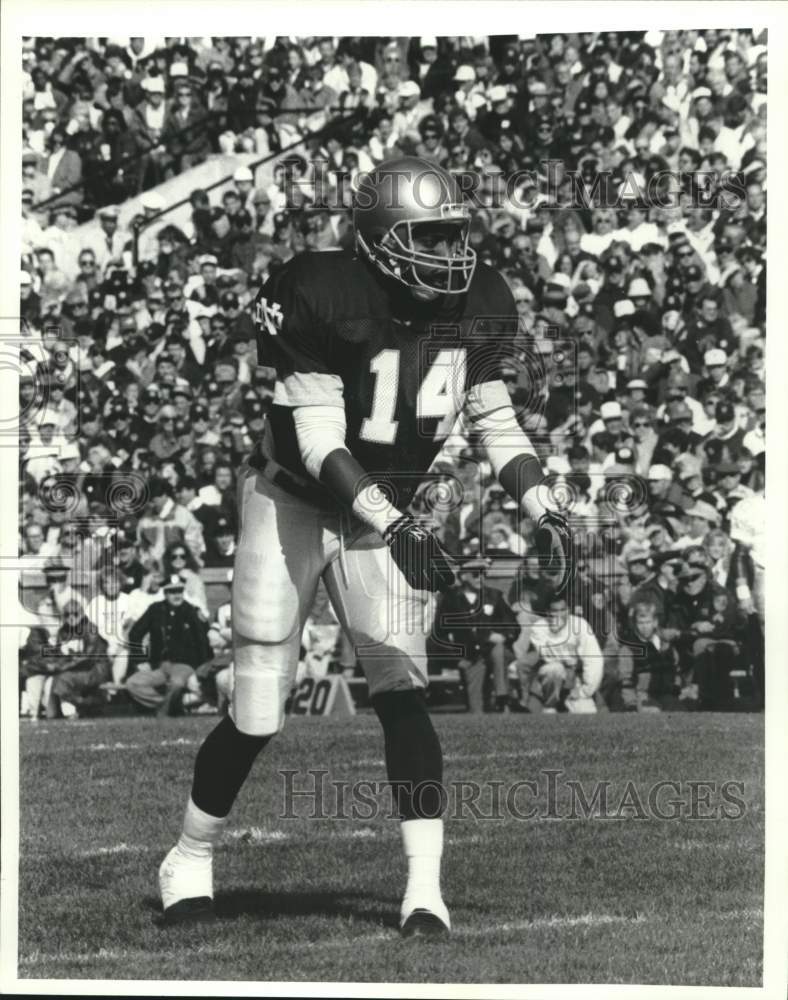 Press Photo Football Player Roy Griggs - ftx03428 - Historic Images