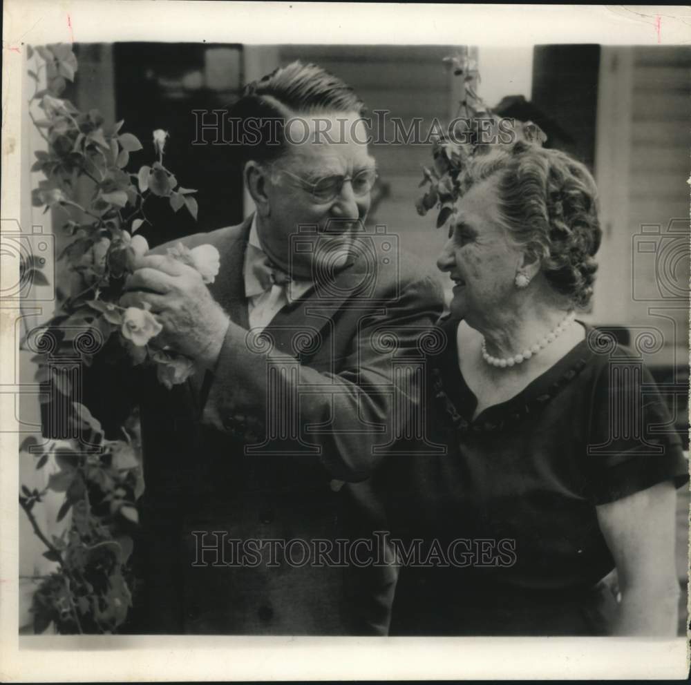 1956 Press Photo Branch Rickey Sr. pick a rose for his wife in Pennsylvania - Historic Images