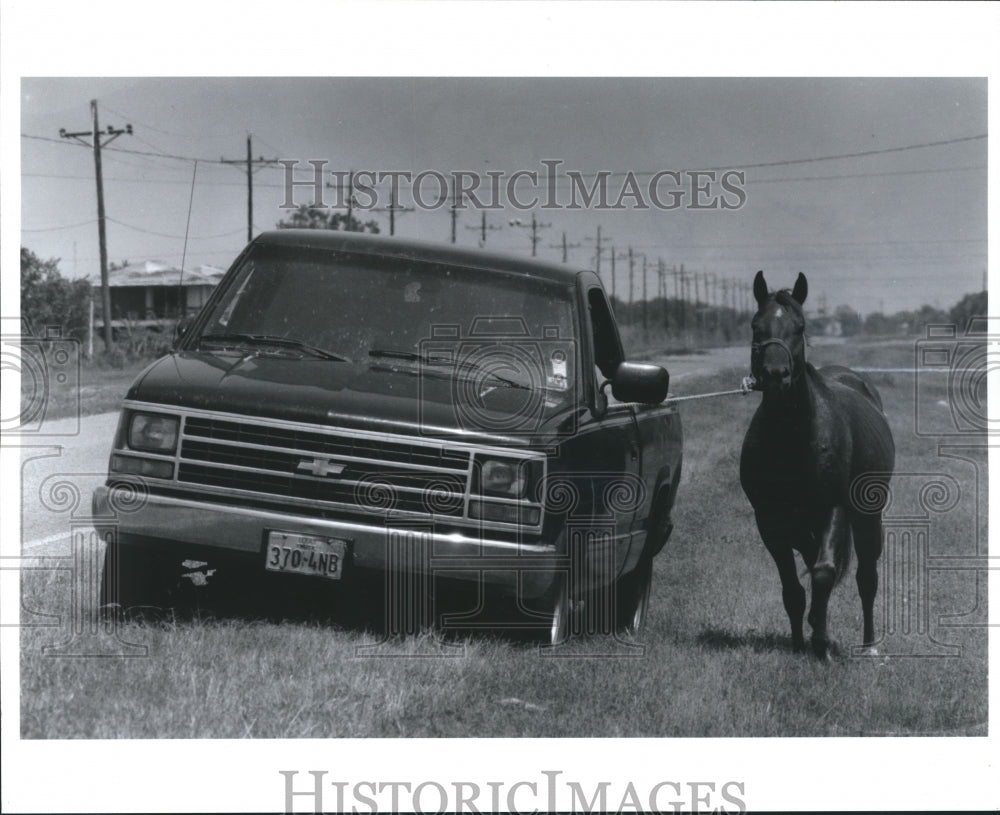 1992 Press Photo Toby Kahla takes horse to shelter from Hurricane Andrew - Historic Images