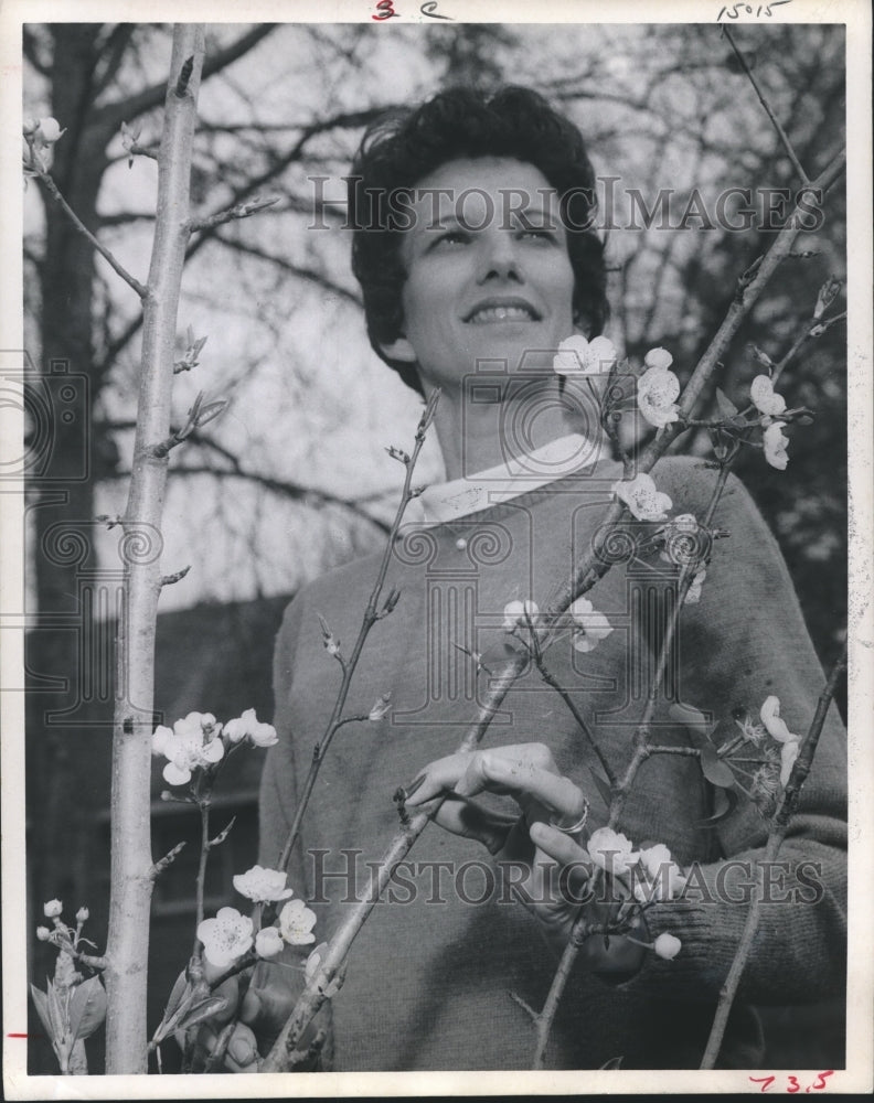 1969 Press Photo Peggy Allen with Pear Blossoms at Big Thicket National Forest - Historic Images