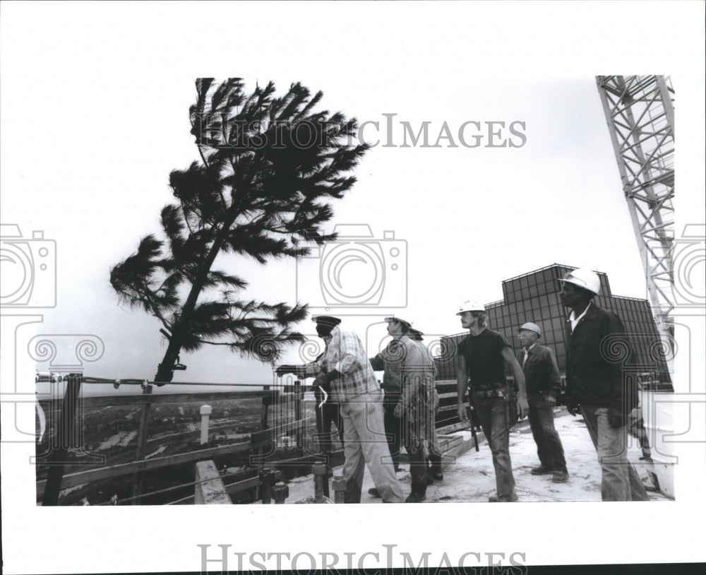 1991 Press Photo Houston workers place a tree atop Anadarko Tower - hca12284 - Historic Images