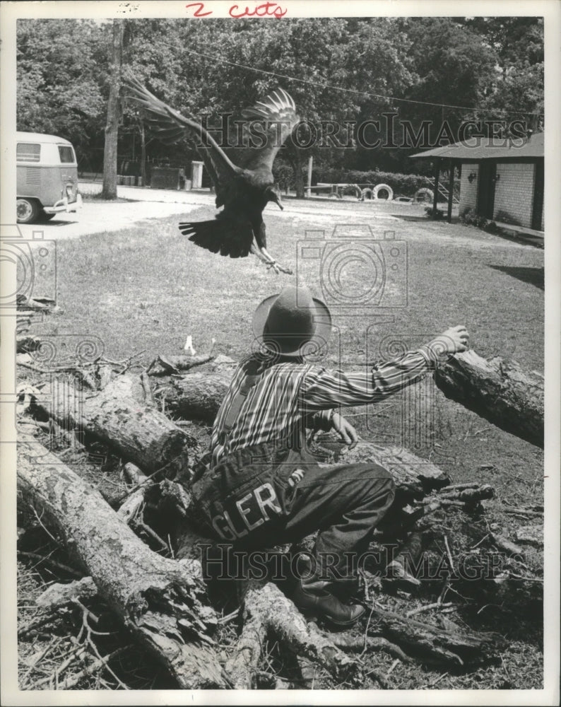 1972 Press Photo Man Training A Buzzard. - hca12609 - Historic Images