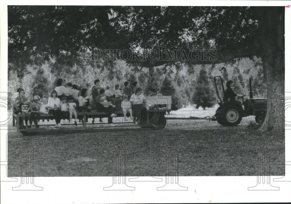 1988 Press Photo Wagon rides for the children at Christmas tree farm, Texas - Historic Images