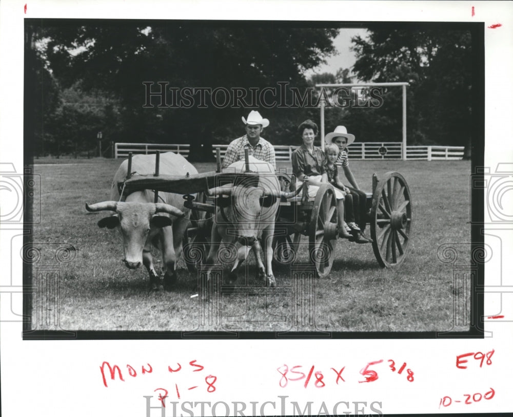 1984 Press Photo Sam & Milam Matched White Longhorn Steers Pulling Family Wagon - Historic Images