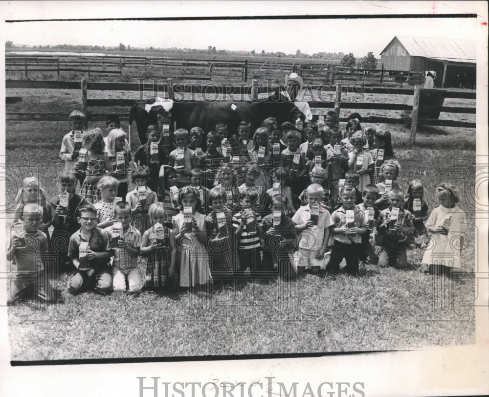 1967 Press Photo Klein Elementary School Students Gather Around Holstein Cow, TX - Historic Images