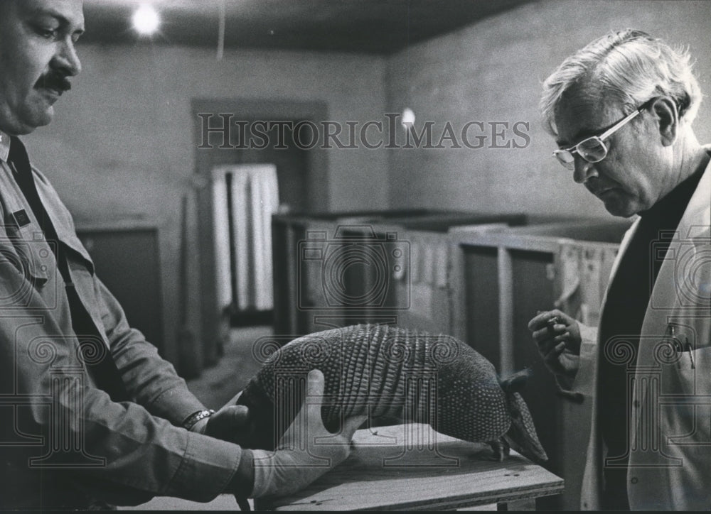 1972 Press Photo Dr. Waldemar F. Kirchheimer, armadillo research, Carville, LA - Historic Images