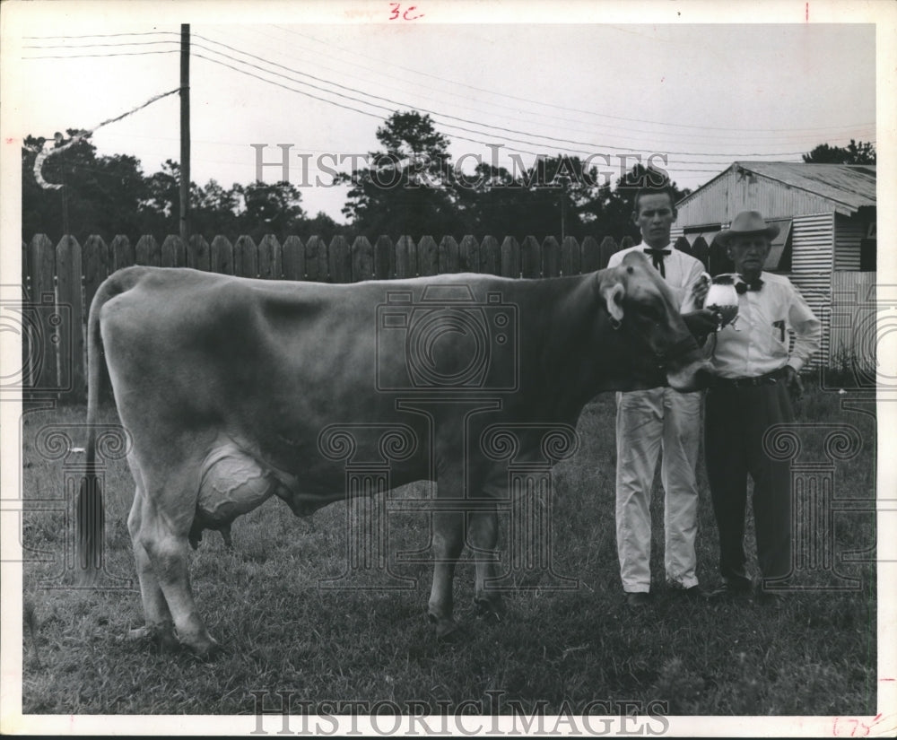 1965 Press Photo Ranchers with their Champion Dairy Day Cow - hca13855 - Historic Images