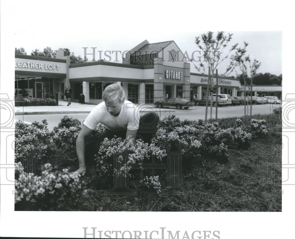 1992 Press Photo Randy Brown plants flowers at the Conroe Outlet Center, Houston - Historic Images