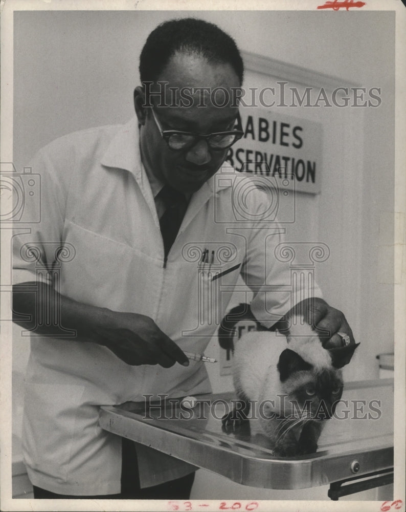 1969 Press Photo Dr. Ford McWilliams Gives Cat Injection to Treat Cancer. - Historic Images