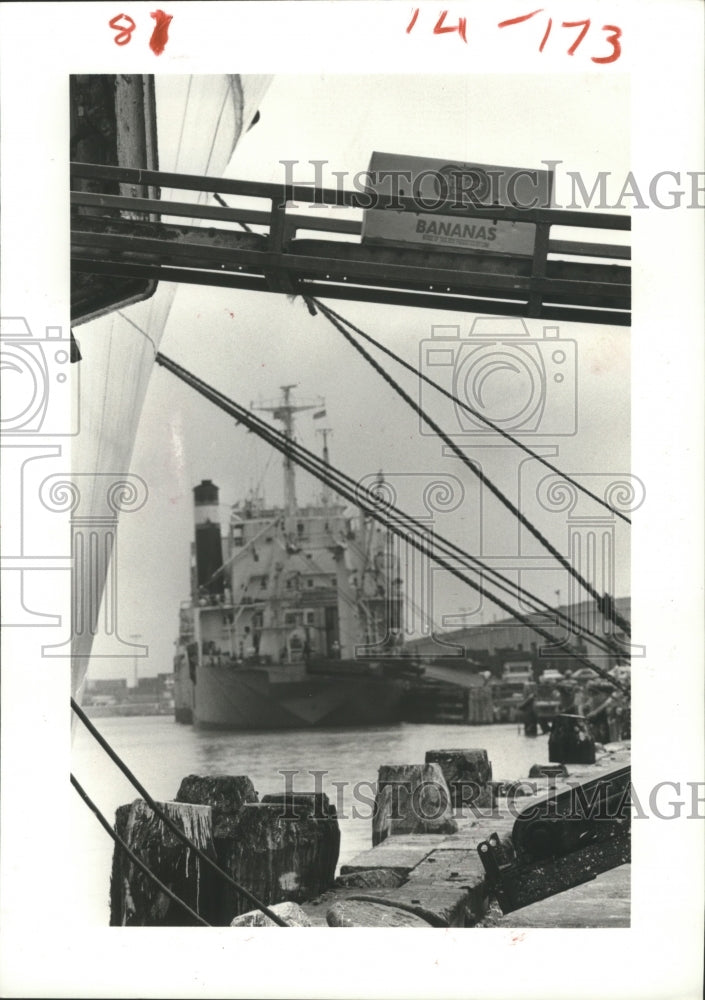 1982 Conveyor loads Boxes of Bananas, Galveston, Texas - Historic Images
