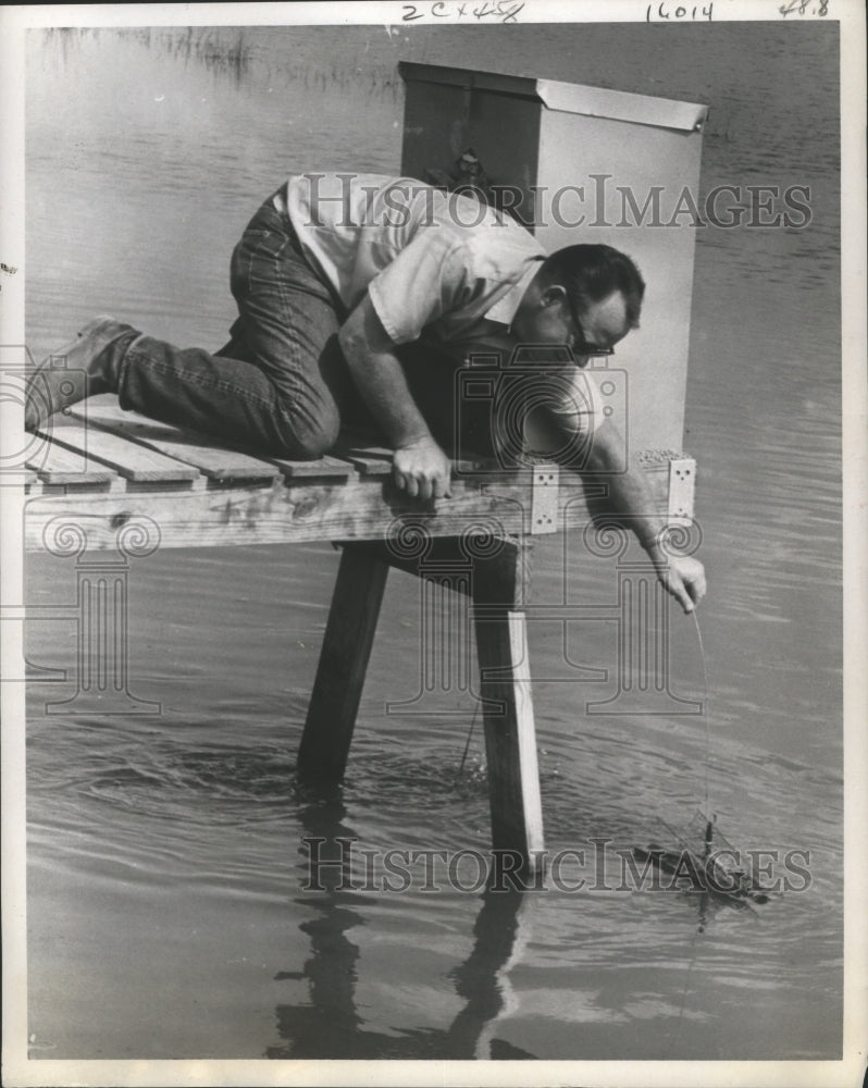 1969 Press Photo Kole Checks Catfish Feeding Mechanism in Texas Lake. - Historic Images