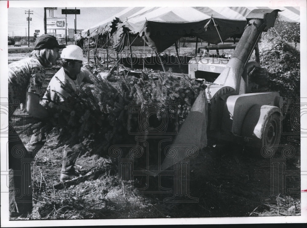 1977 Jim Kimbell and Wayne Ash grind up old Christmas trees, Houston - Historic Images