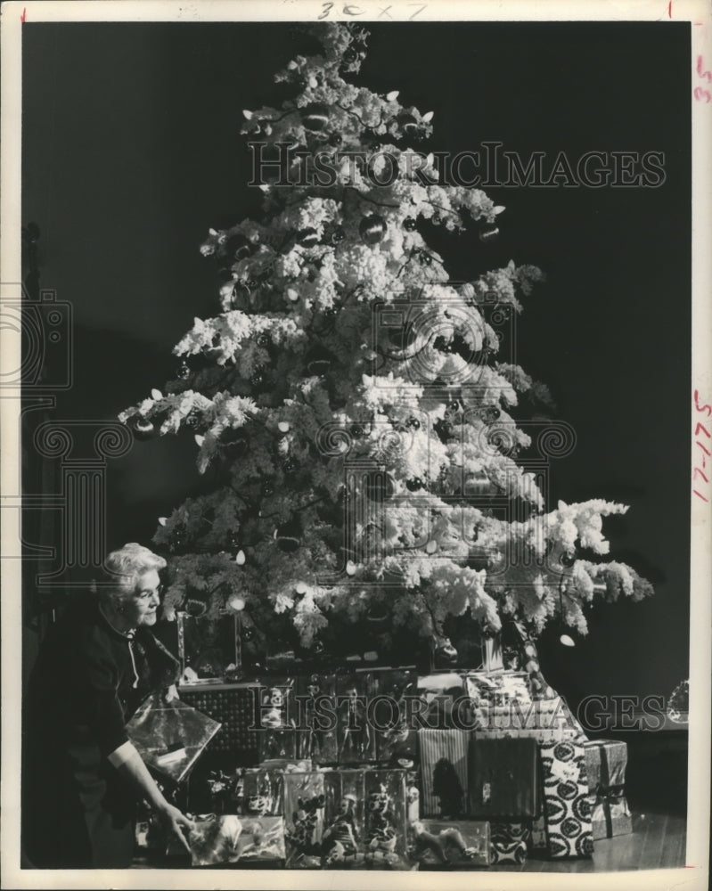 1967 Press Photo Decorated Christmas tree at Houston Garden Center - hca16818 - Historic Images