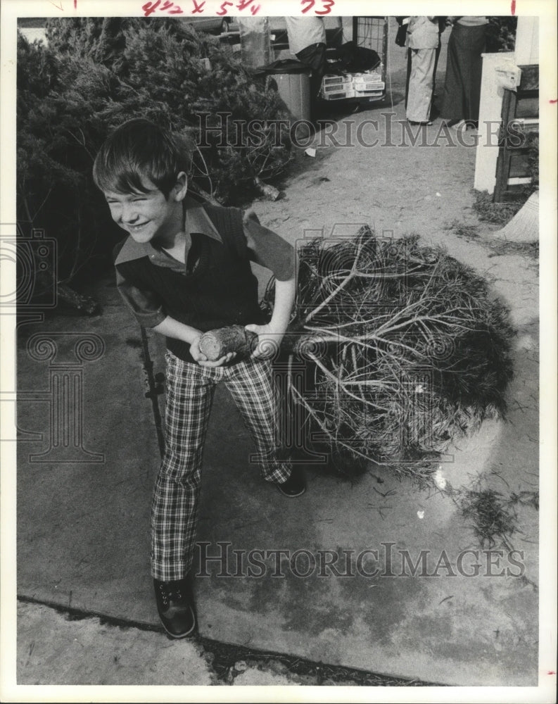 1974 Press Photo Jay Padron Of Houston Hauls The Family Christmas Tree. - Historic Images