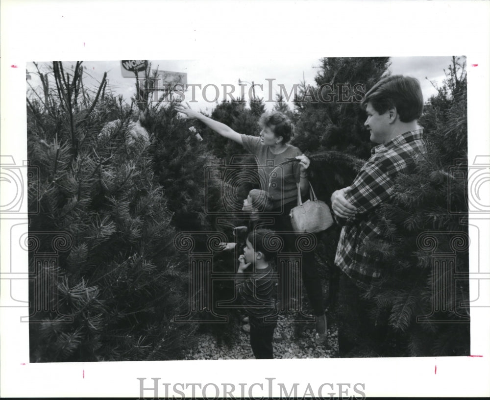 1989 Richard &amp; Delinda Holland With Sons Pick Christmas Tree Houston - Historic Images