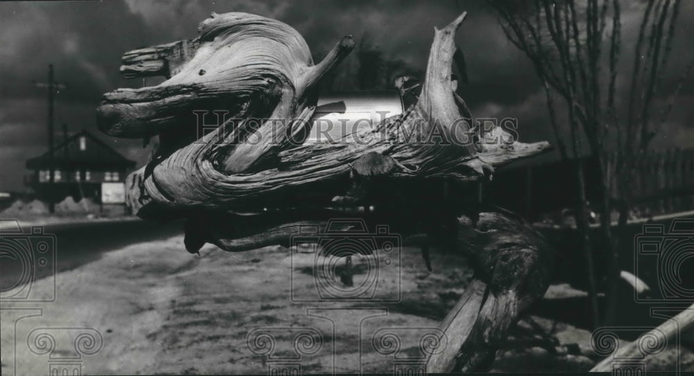 1965 Press Photo Driftwood Duck Over Ed Harper&#39;s Mailbox In Key Allegro, Texas - Historic Images