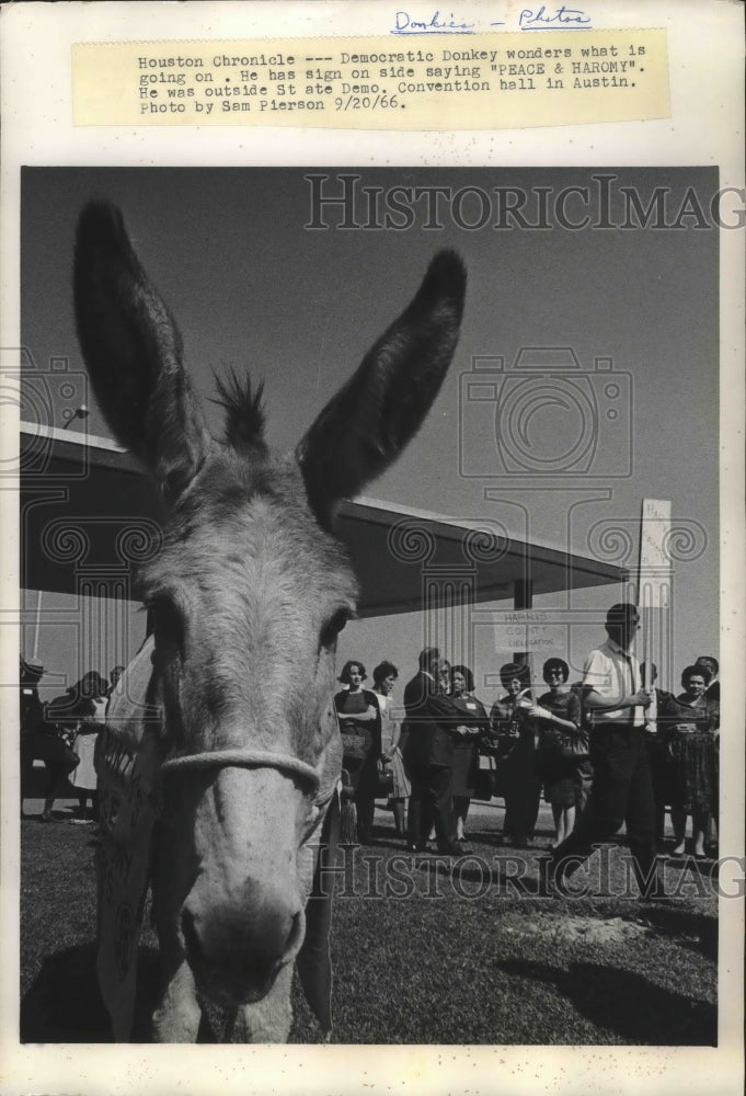 1966 Press Photo Democrat donkey outside Convention hall in Austin, Texas - Historic Images