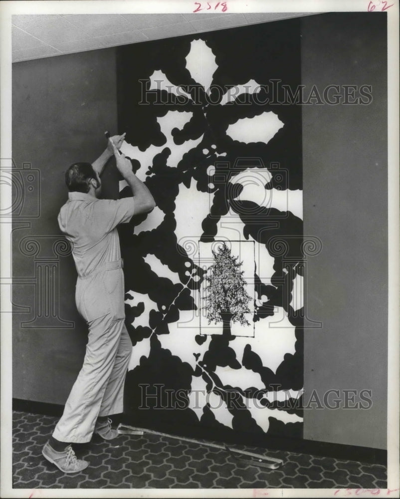 1972 Press Photo Mario Petrucciani Hangs Judy Guyton Art on Dubose Gallery Wall-Historic Images