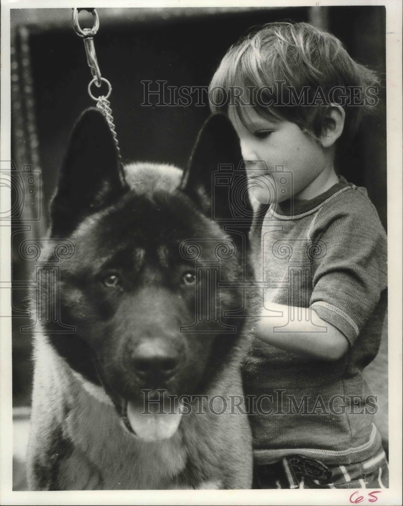 1976 Ben Miller Poses With Honorable Japanese Akita Dog. - Historic Images