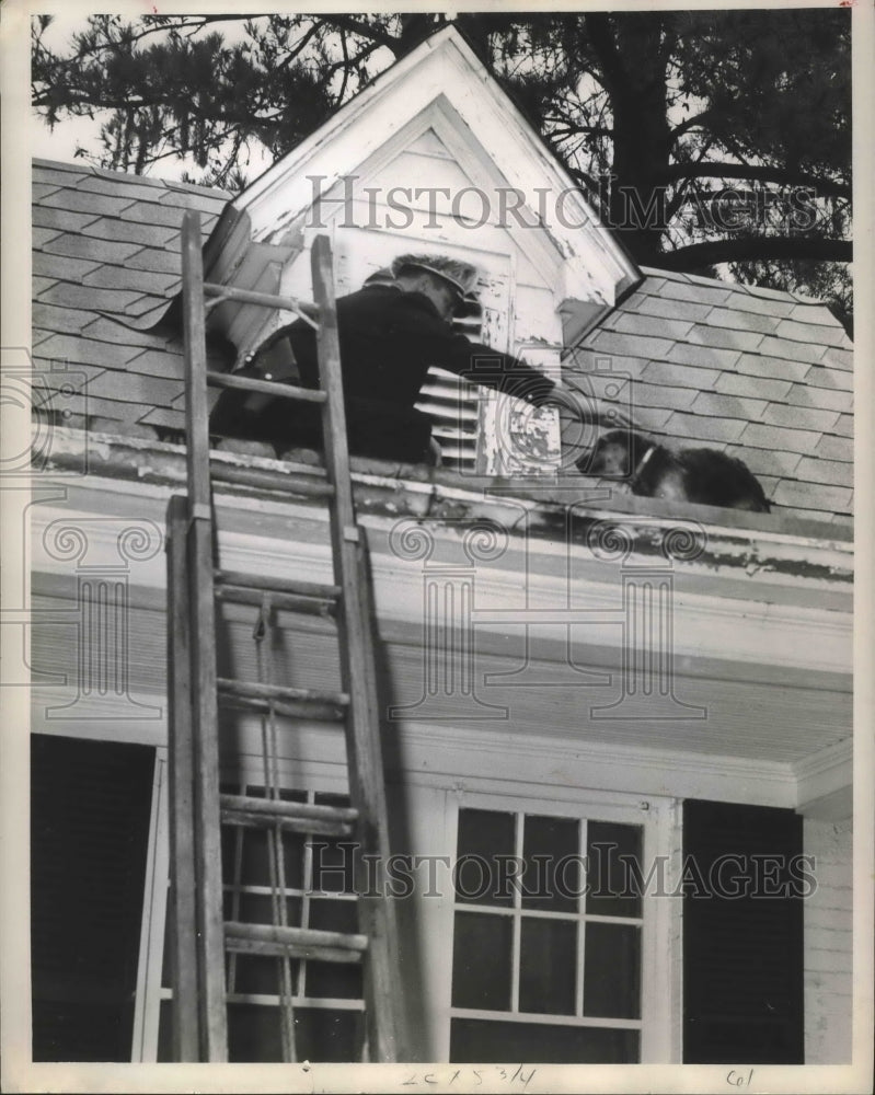 1960 Press Photo Patrolman Griffin removes dog from roof of John Carvin&#39;s home-Historic Images