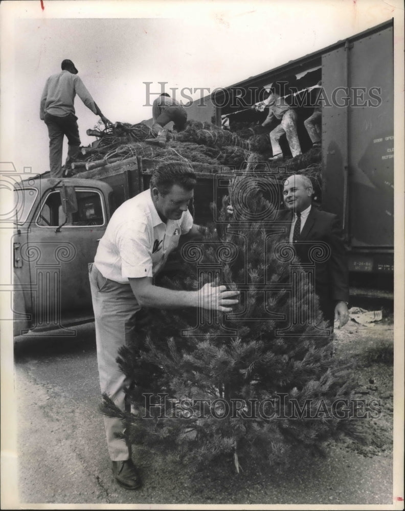 1967 Press Photo Vernon Selvidge and Joe Delerry set up Christmas tree, Houston - Historic Images