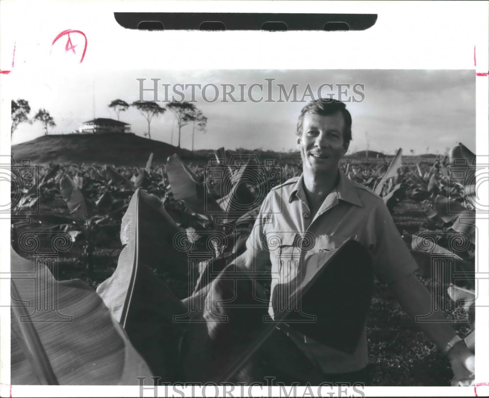 1988 Belizean Barry Bowen amid banana plants he&#39;s testing - Historic Images