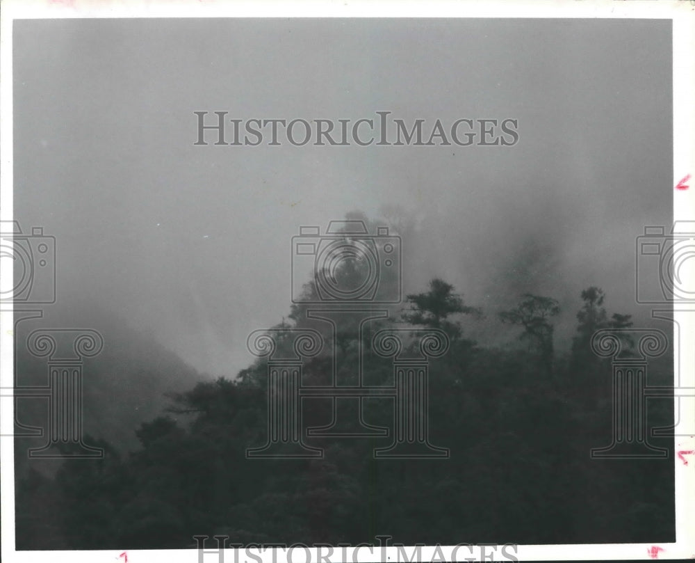 1989 Press Photo Haze falls over the Rain forests of Latin America, Costa Rica - Historic Images