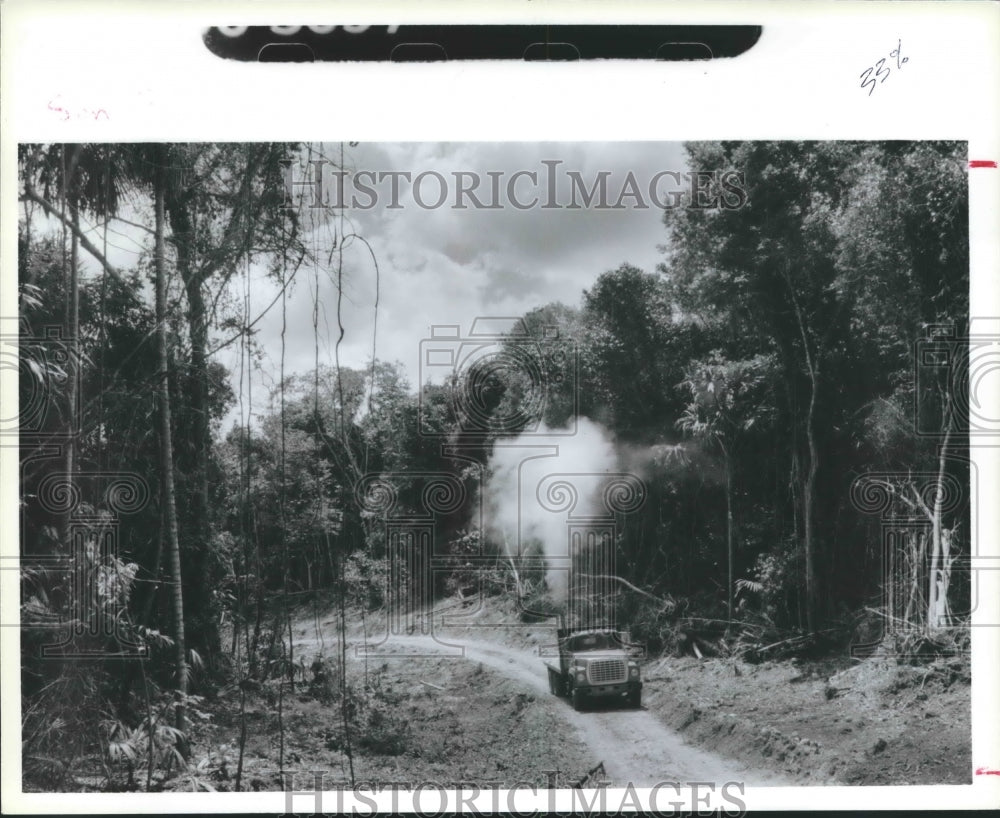 1988 Press Photo Logging truck in tropical forest in Belize - hca19110 - Historic Images