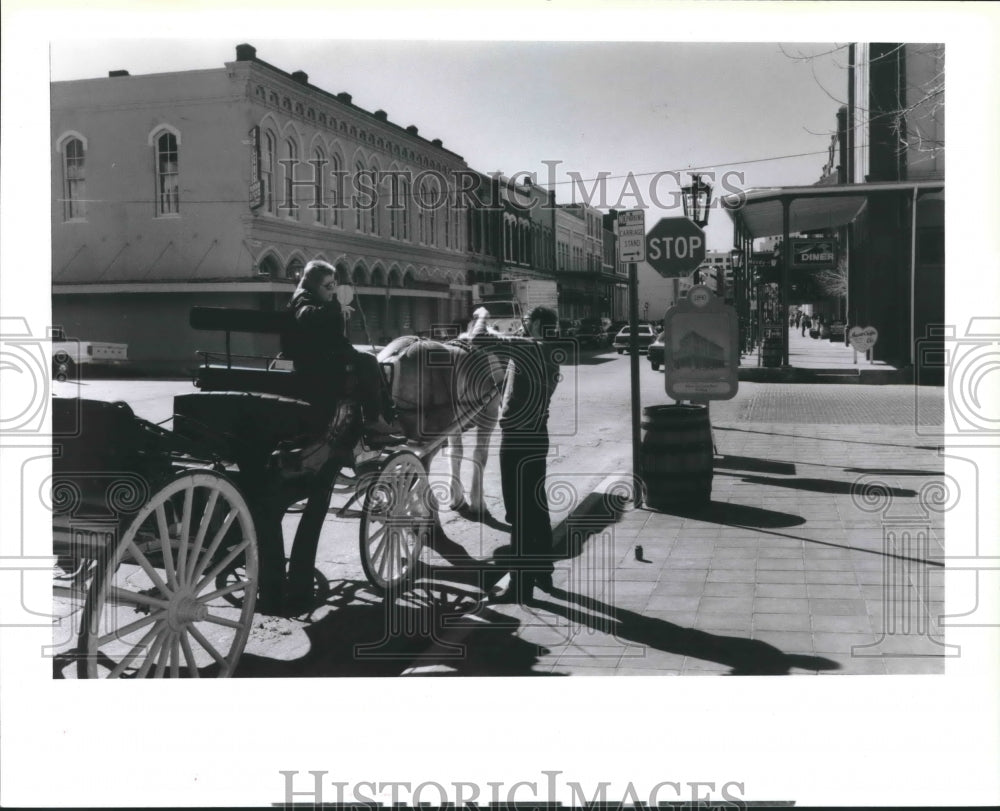 1987 Press Photo Horse and carriage on the Strand, Galveston, Texas - hca19386 - Historic Images