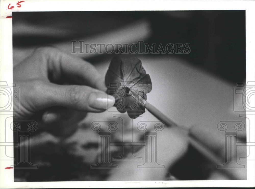 1983 Paintbrush Places Glue On Back of Pressed Flower. - Historic Images