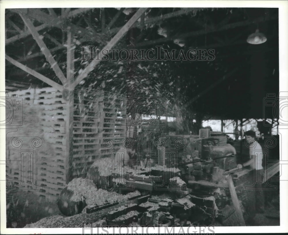 1988 Press Photo Lumber mill in Guacimo, Costa Rica - hca19462 - Historic Images