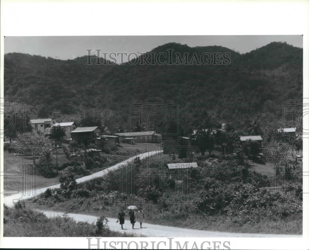 1988 Press Photo Tropical Forests - hca19463 - Historic Images