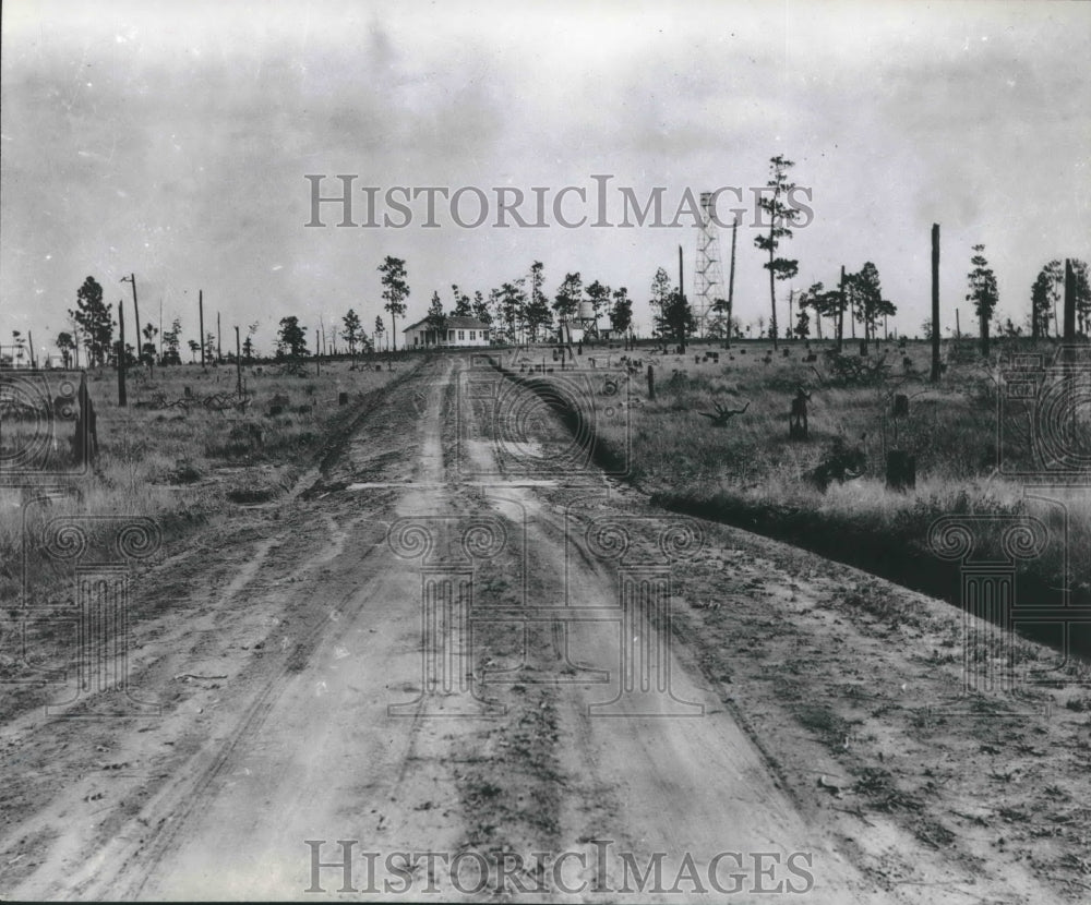 1987 Press Photo Forest fires ravage Texas forests - hca19466 - Historic Images