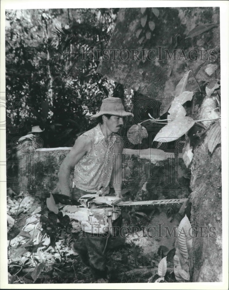 1988 Press Photo Man Cutting Trees In Guapiles Costa Rica Tropical Forests. - Historic Images