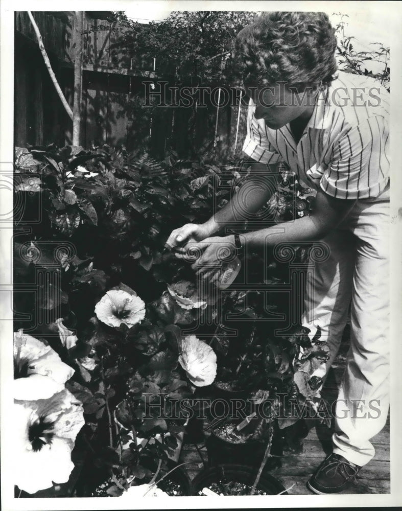 1986 Steve Moore's yard contains many varieties of Hibiscus, Houston - Historic Images