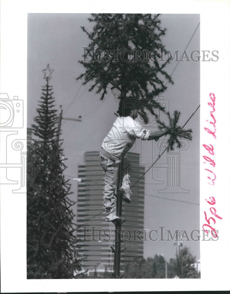 1992 Press Photo Eulalio Martinez Trims Christmas Tree Decoration in Houston. - Historic Images