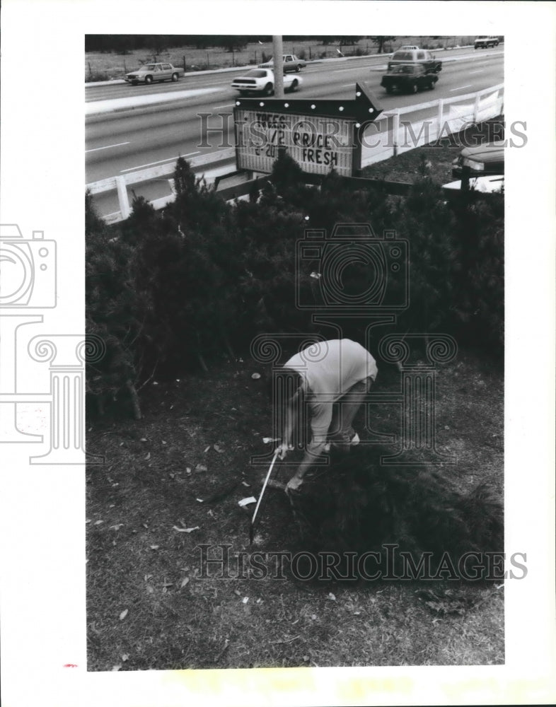 1988 Press Photo Scott Dennison Sawing The Base of A Christmas Tree in Houston. - Historic Images