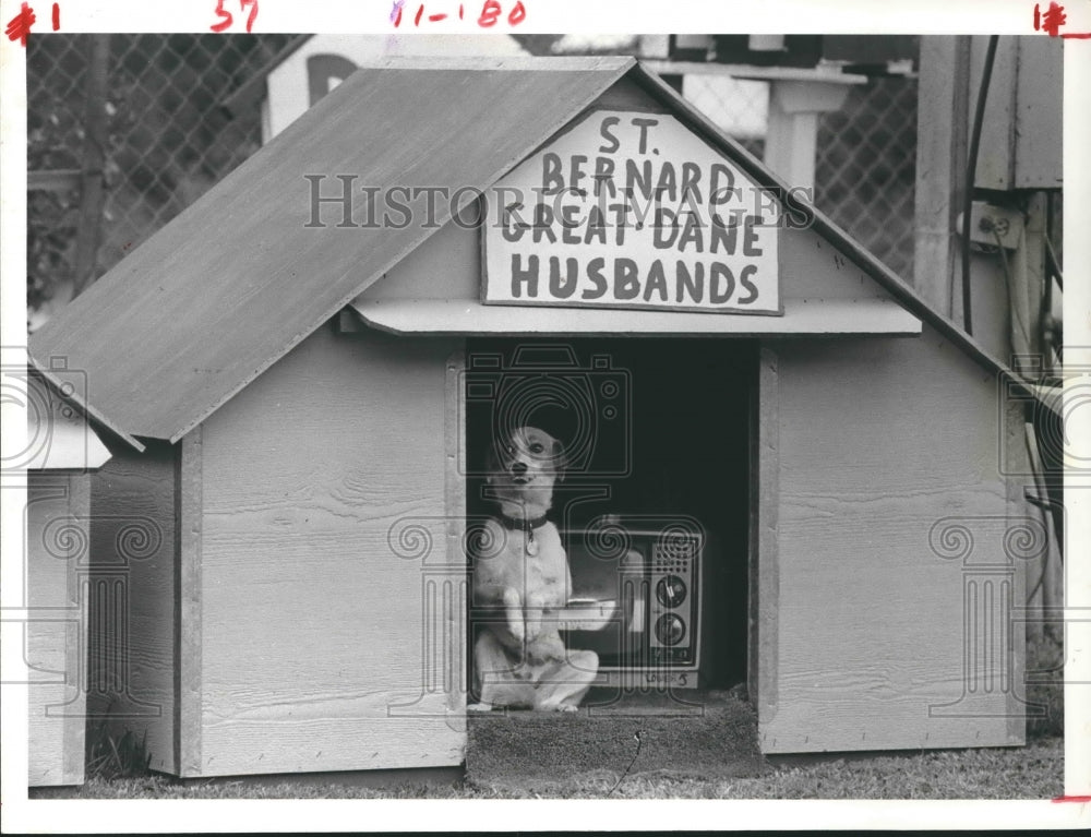 1984 Cecil Cohen designed dog house - Historic Images