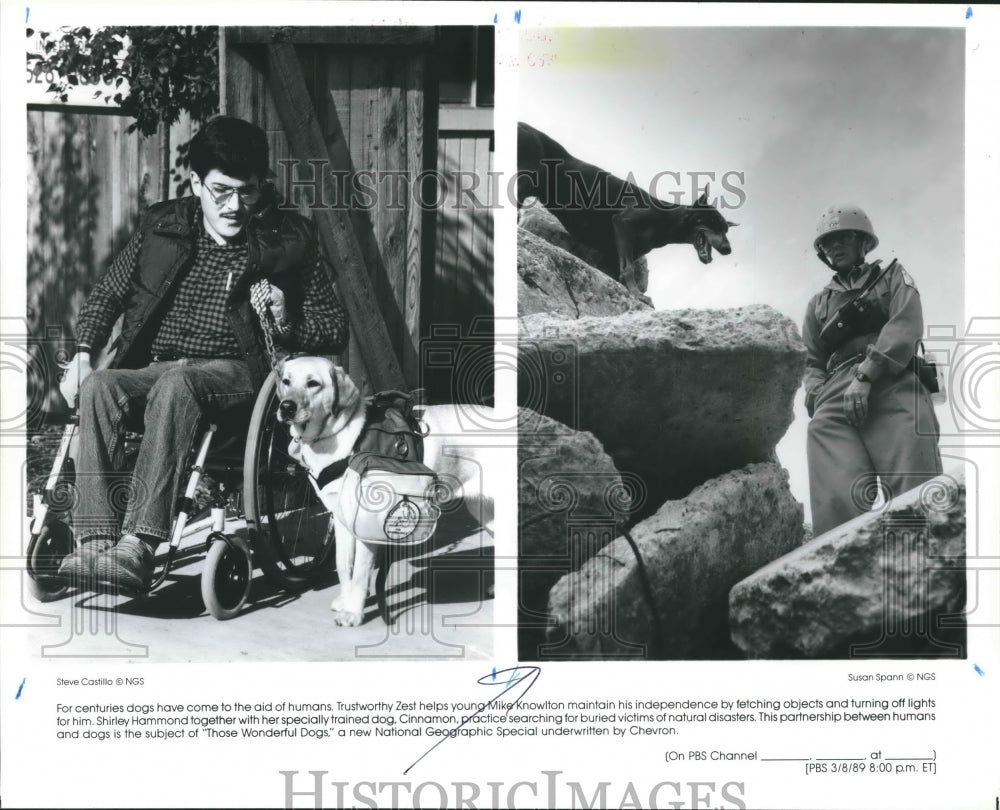 1989 Shirley Hammond &amp; Her Specially Trained Dog, Cinnamon. - Historic Images