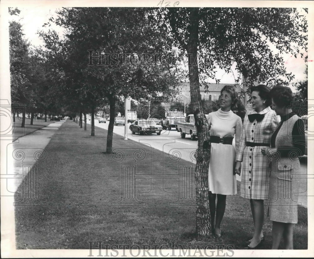 1970 Press Photo Garden Club of Houston members look at trees on Main Street - Historic Images