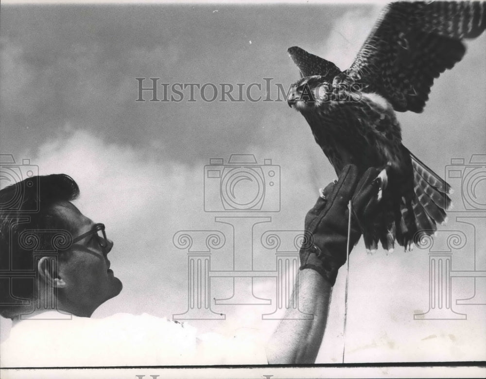 1964 Press Photo Man holding a falcon - hca23281-Historic Images