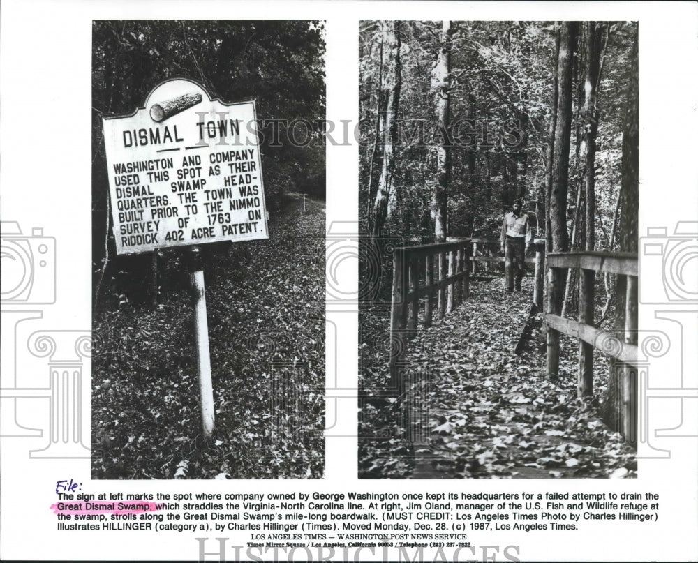 1988 Press Photo Great Dismal Swamp straddles Virginia-North Carolina Line - Historic Images